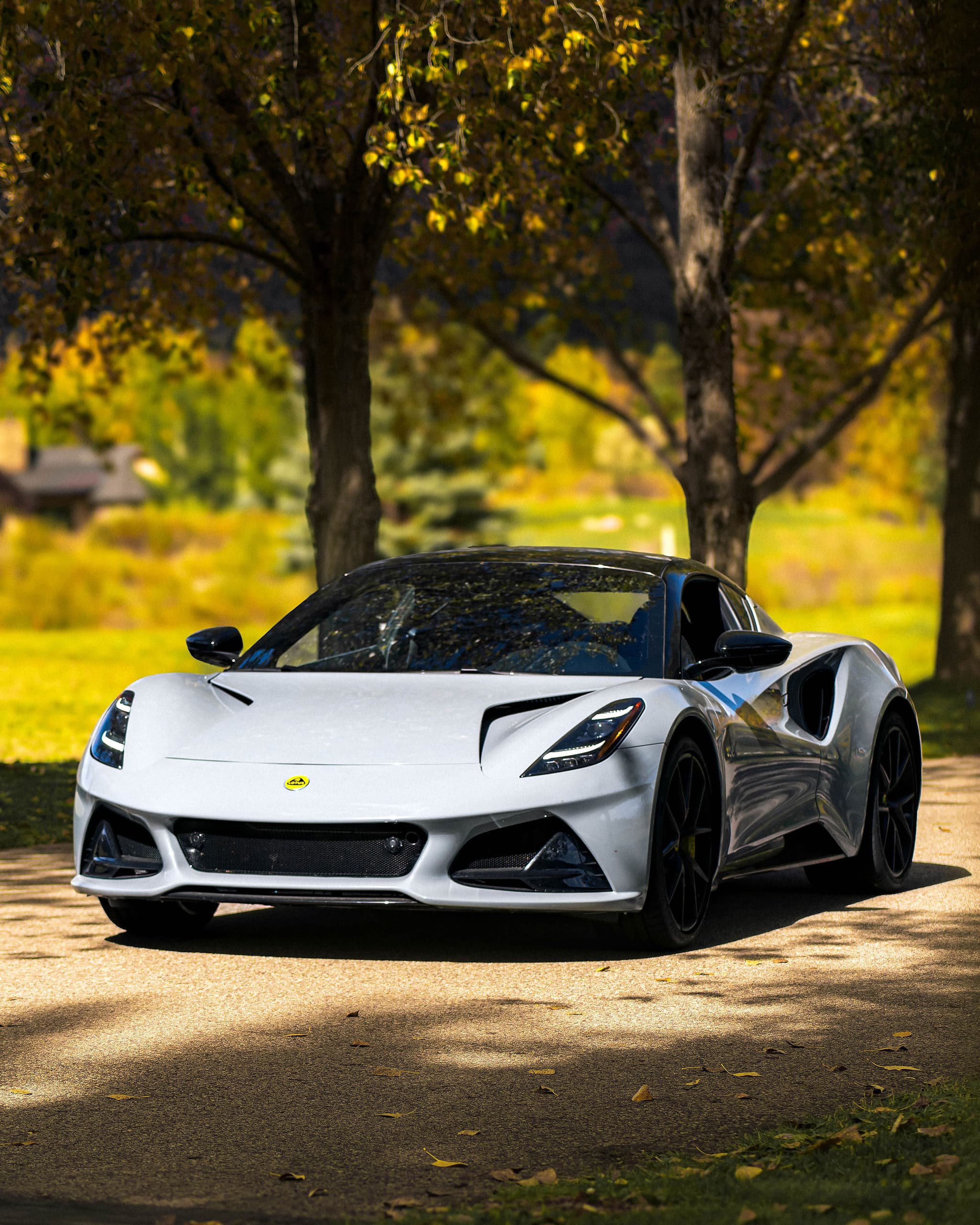 Luxury Car